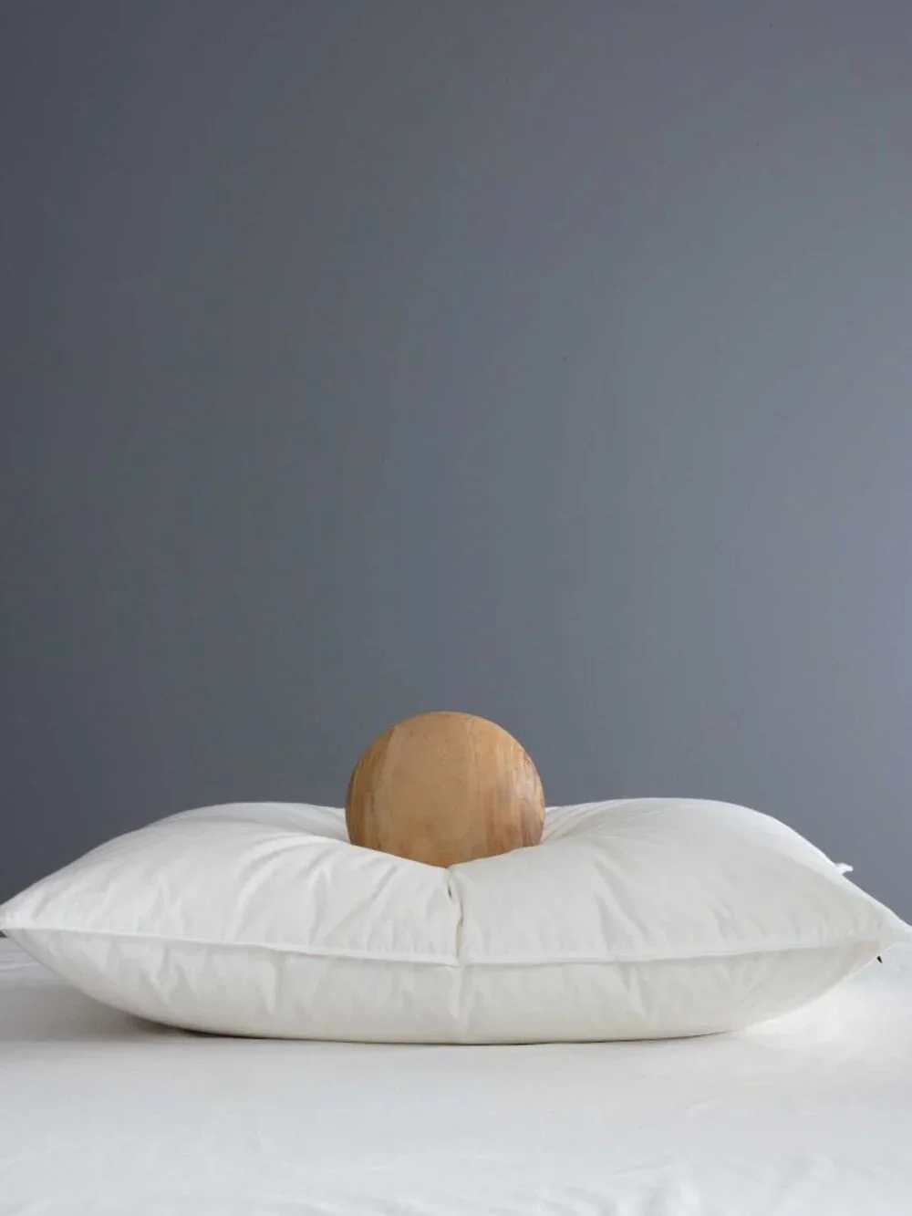 Quince Premium Down Alternative Standard Medium Firm Pillow
